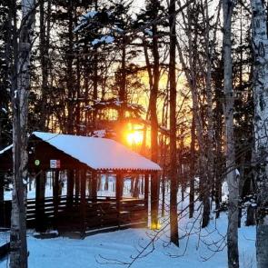 ����: ������ ����� 