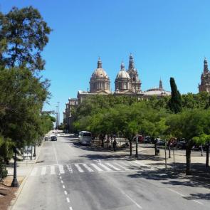 ����: ���������