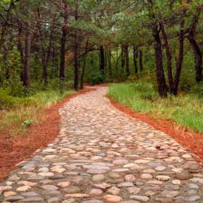 ����: � �����