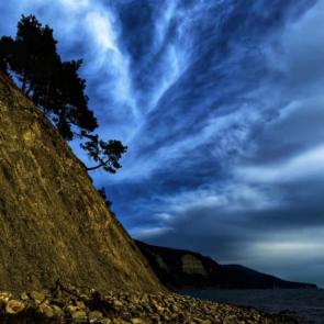 ����: �������