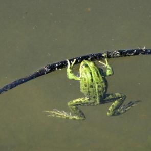 ����: �� �������