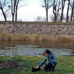 ����: ����� �� ������