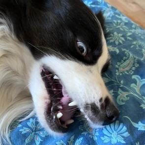 ����: �� ����� ����