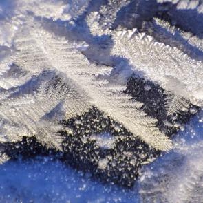 ����: ������� �����