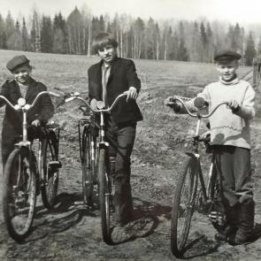 ����: �������������.