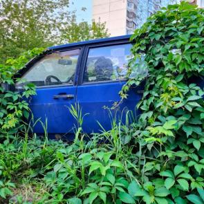 ����: ���������� ����������� ��������.