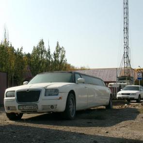 ����: �������