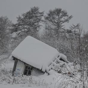 ����: ...� ���� ���� �� �����