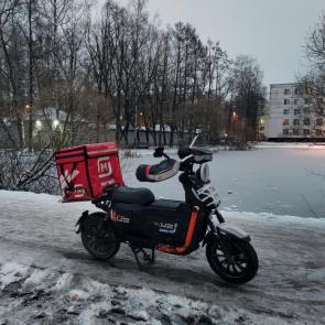 ����: ��������