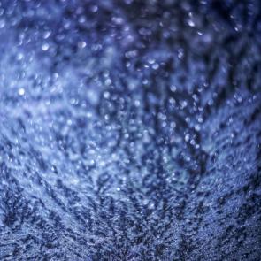 ����: �������