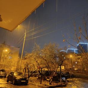 ����: ������ �����