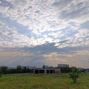 ����: ¸��� � ���� � �������