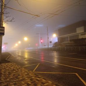 ����: ������, ������, ������