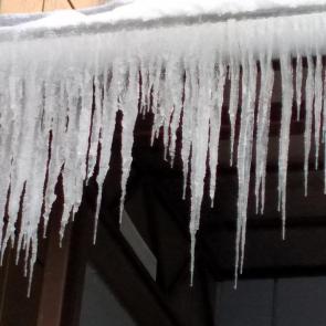 ����: ��������