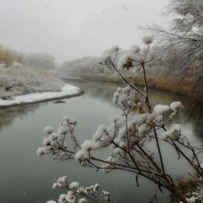 ����: ����� ���� ����������� ������