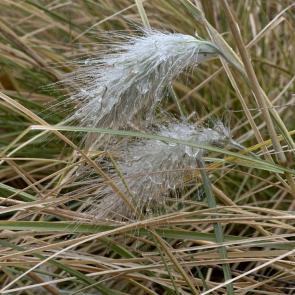 ���� ��������: � ����� � ����