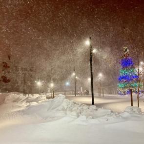 ����: ��������� 