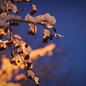 ����: ������ ����