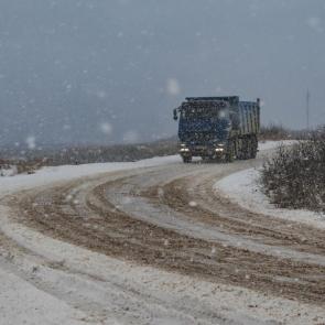 ����: ������� ����