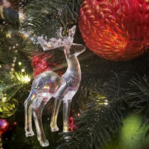 ����: ������ �������