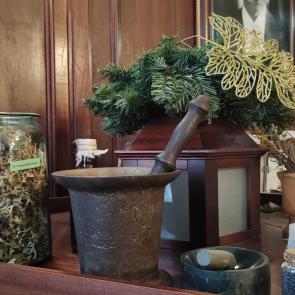 ����: ������