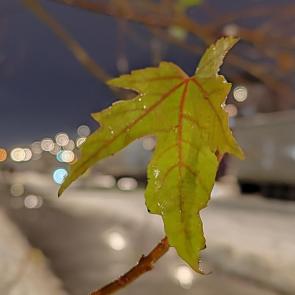 ����: ��� ������ ����� 