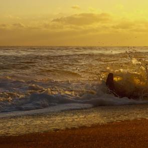 ����: ������� � ����������� 