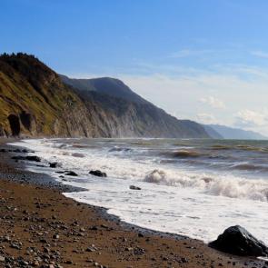 ����: �� ������ ���������� ������� 