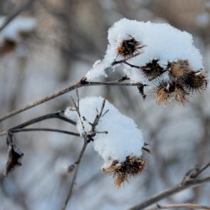 ����: ��� ������ ����������