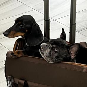 ����: � �������, �� �� � �����!