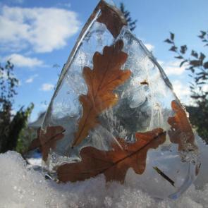 ����: �������.