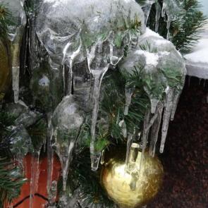 ����: ��������