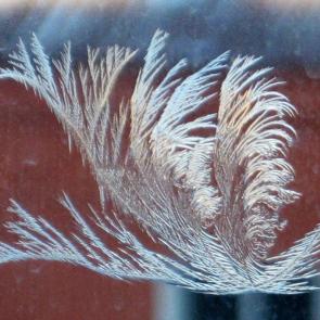 ����: ����