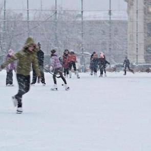 ����: ��������