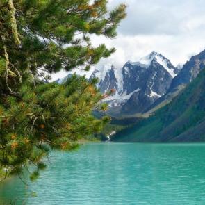 ����: ����� ����������