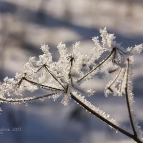 ����: ����� ����� � ����