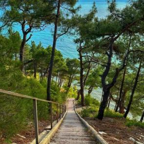 ����: ������ � ����