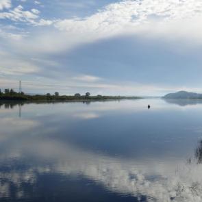 ����: �����