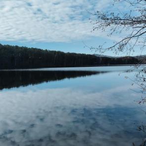 ����: ����� ���� ���������� �����