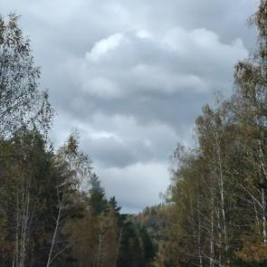 ����: ����-�� �����.. 