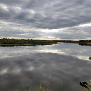 ����: ���