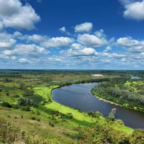 ����: ����� 