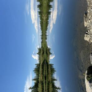 ����: ������