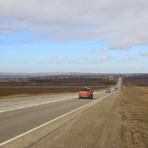 ����: ������