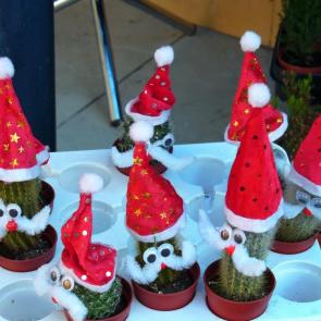 ����: �������� ���������