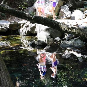 ����: ������������ ����