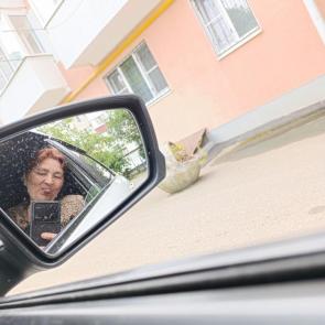 ����: ���������