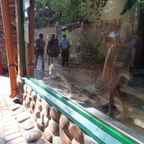 ����: � ��������� ����