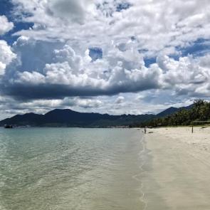 ����: ����� ������