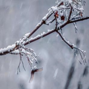 ����: ���� �����.